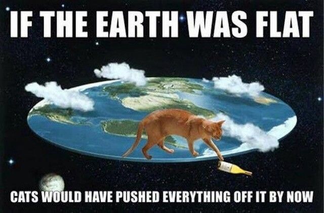 Cat pushing a bottle off our flat Earth